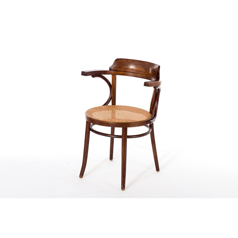bentwood vintage model 233 chair, 1950s