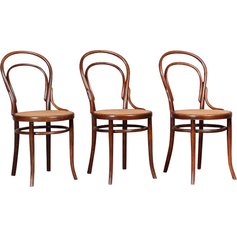 Chair N .14 by Michael Thonet for Thonet, curved beech cane seat, Austria, circa 1859