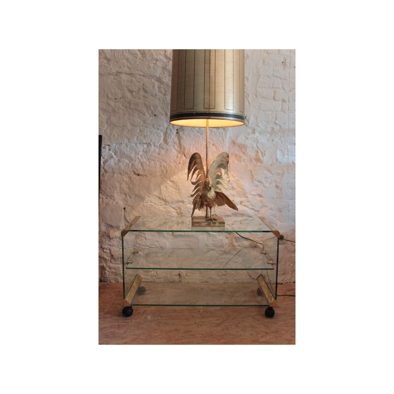  Vintage Glass Coffee Table by Gallotti & Radice