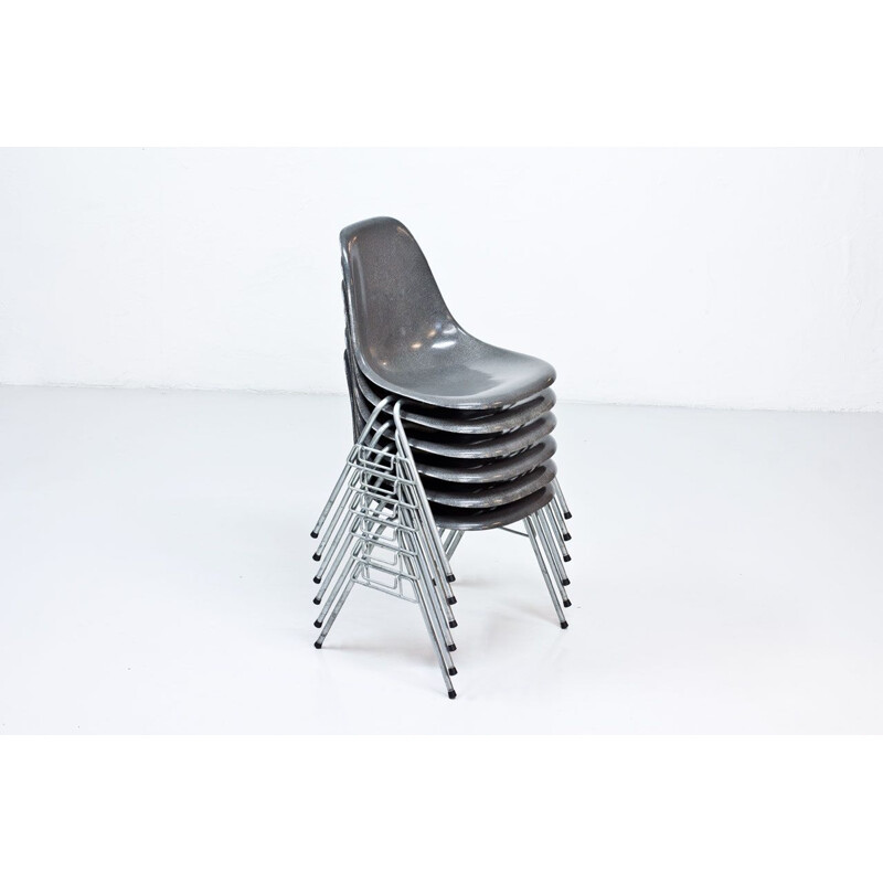Lot de 6 chaises de salle à manger en fibre de verre grise modèle DSS par Charles & Ray Eames pour Hille