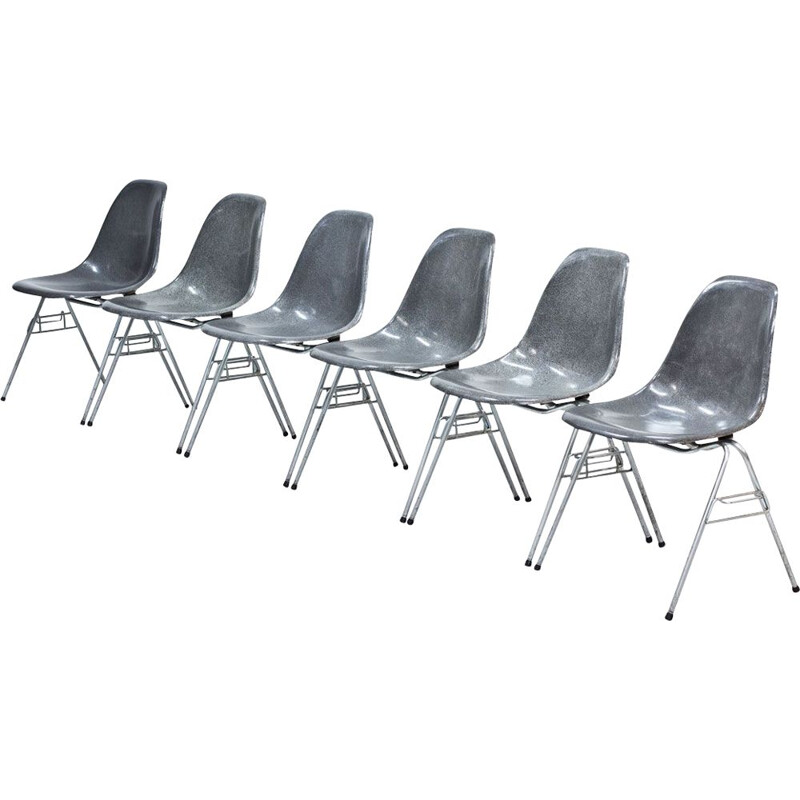 Lot de 6 chaises de salle à manger en fibre de verre grise modèle DSS par Charles & Ray Eames pour Hille