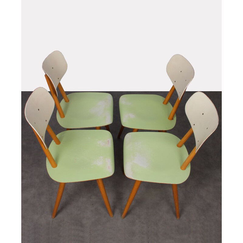 Suite of 4 vintage beige and green chairs edited by Ton, 1960