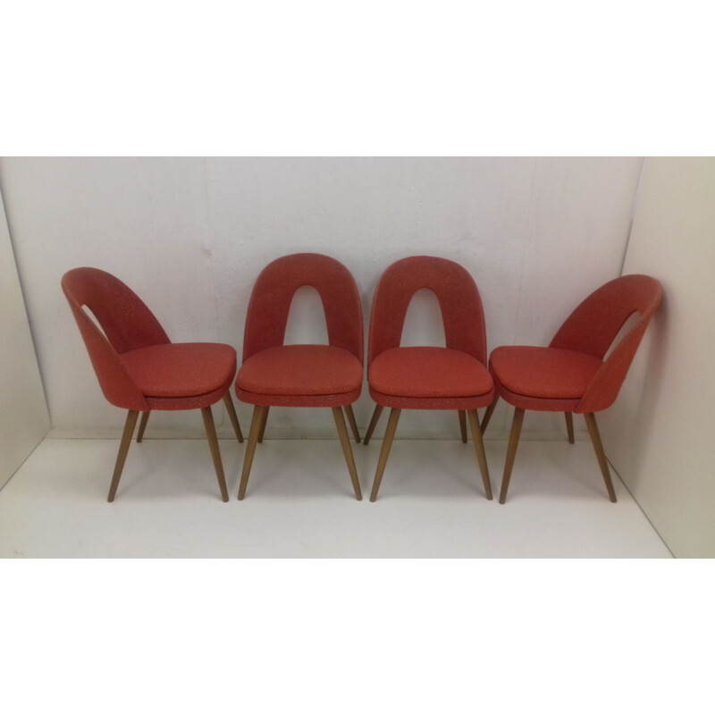 Suite de 4 chaises de salle à repas d'Antonín Šuman, 1960