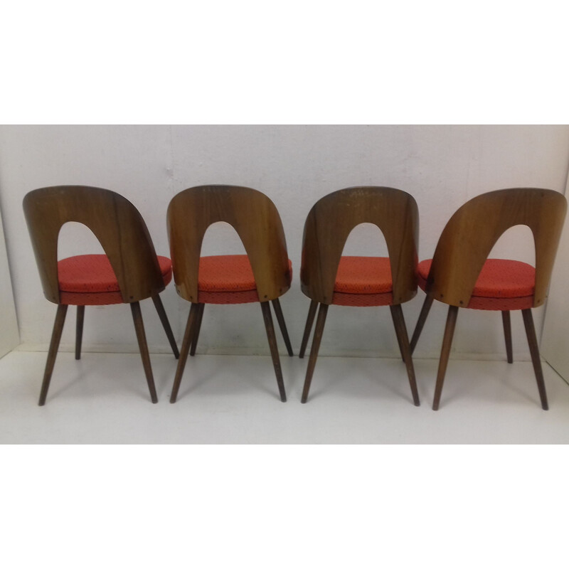 Suite de 4 cadeiras de jantar por Antonín Saxofuman, 1960