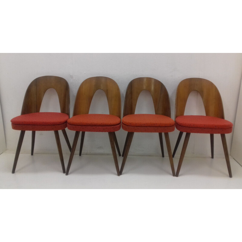 Suite de 4 cadeiras de jantar por Antonín Saxofuman, 1960