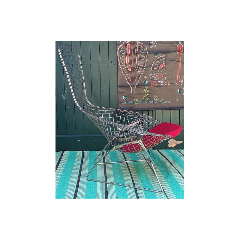 Knoll "Bird" easy chair in steel, Harry BERTOIA - 1960s
