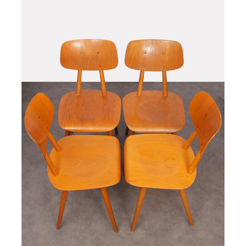 Suite of 4 vintage wooden chairs for the publisher Ton, 1960