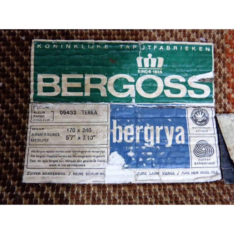 Tapis vintage en laine colorée de Bergoss, Pays-Bas 1960