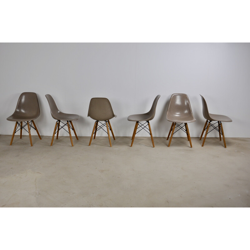 Vintage set of 6 Charles&Ray Eames DSW chairs for Herman Miller, 1975