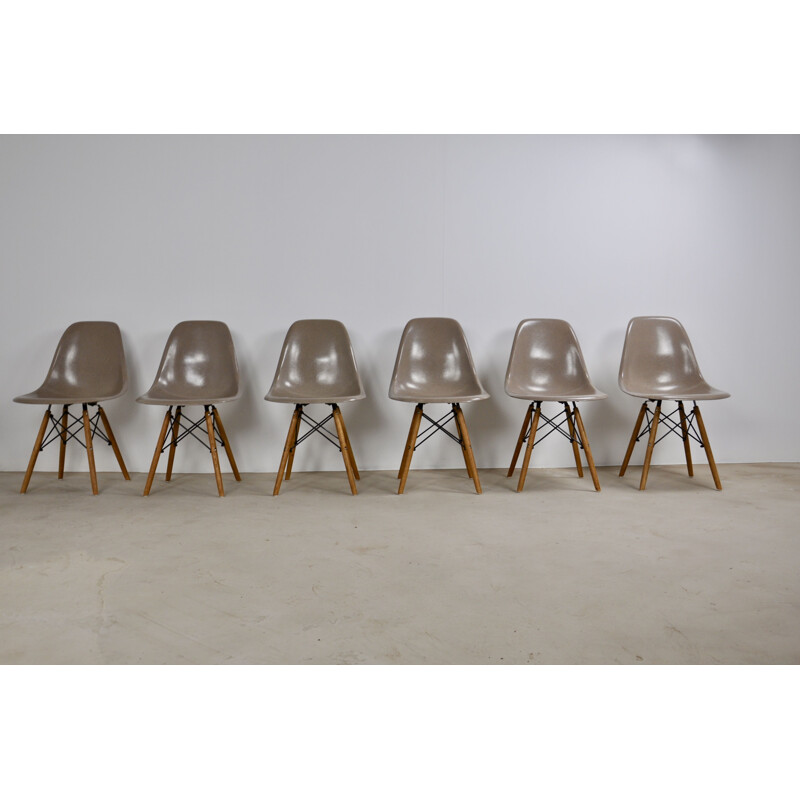 Vintage set of 6 Charles&Ray Eames DSW chairs for Herman Miller, 1975