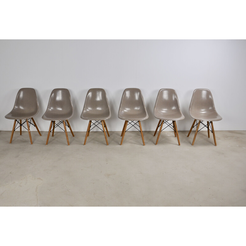 Vintage set of 6 Charles&Ray Eames DSW chairs for Herman Miller, 1975