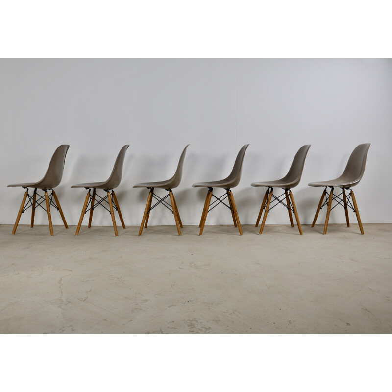 Vintage set of 6 Charles&Ray Eames DSW chairs for Herman Miller, 1975