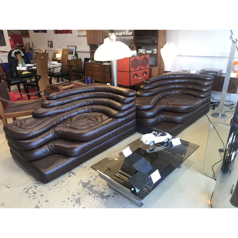 Pair of Terrazza Leather Sofa Dark Brown , Ubald Klug 1975