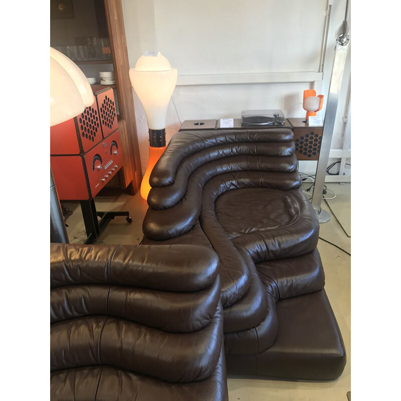 Pair of Terrazza Leather Sofa Dark Brown , Ubald Klug 1975