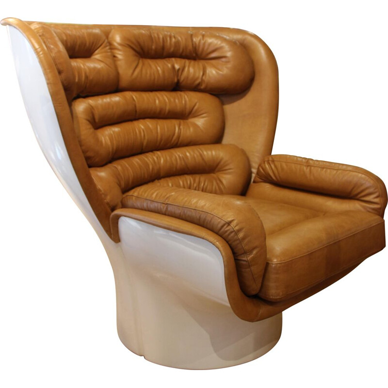 Vintage Elda armchair by Joe Colombo 1960
