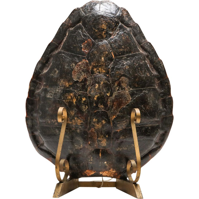 Lampe vintage tortue sur le Mont doré 1940