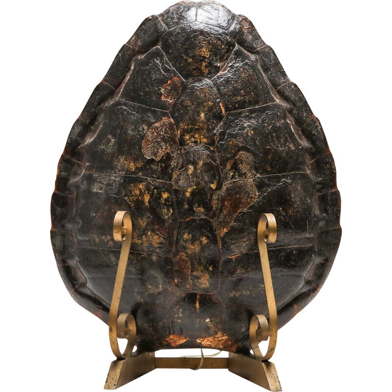 Tortoise Lamp on Gilt Mount 1940's