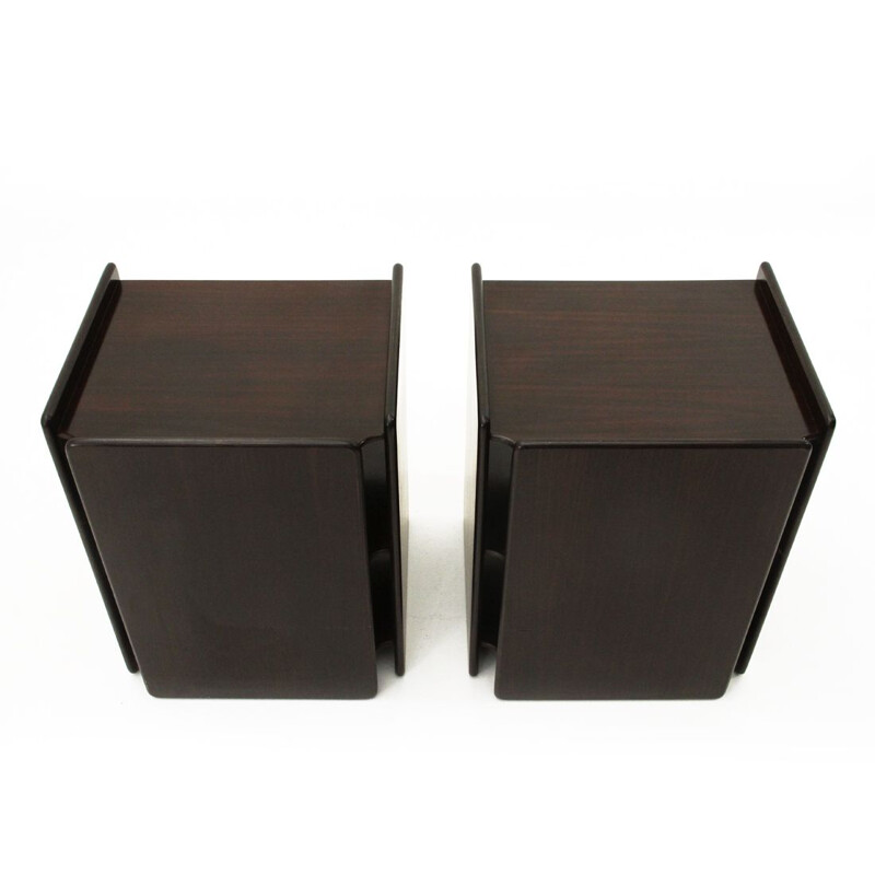 Pair of plywood Nightstands vintage by Sergio Asti and Sergio Favre for Poltronova, 1960