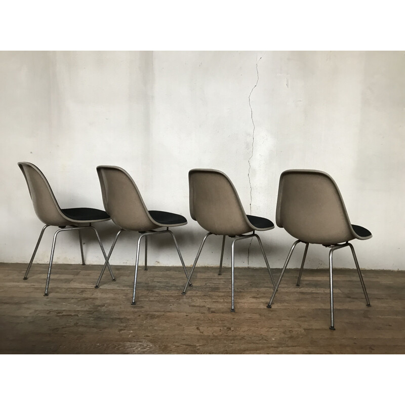 Serie von 4 Stühle Vintage dsx by Charles Eames von Herman Miller 1970