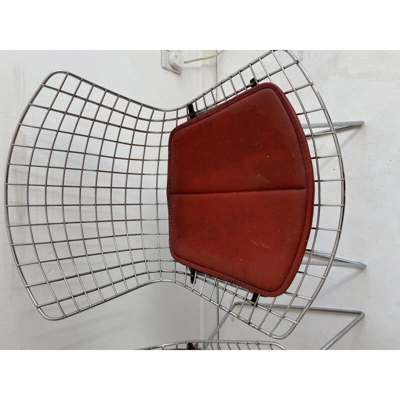 Set of 4 vintage Early Bertoia Chairs from Knoll, 1962