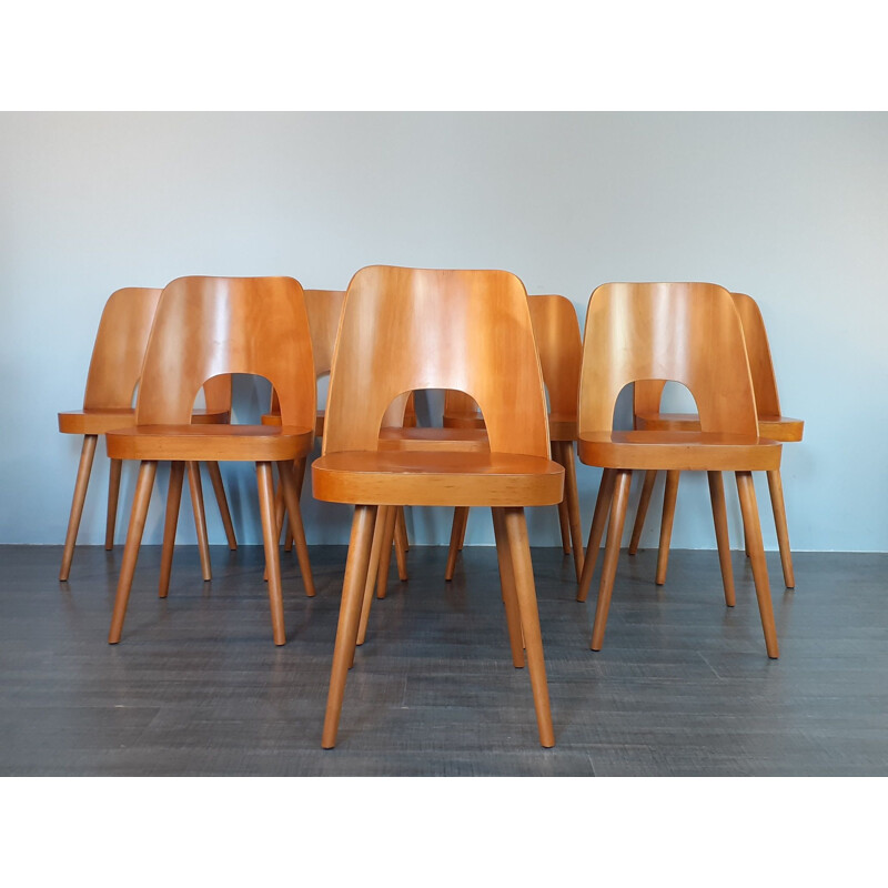 Set of 8 vintage chairs Oswald Haerdtl tone515 in Beech, Czech 1964