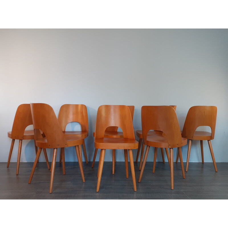 Ensemble 8 chaises vintage Oswald Haerdtl ton515 en Hêtre, tchèque 1964