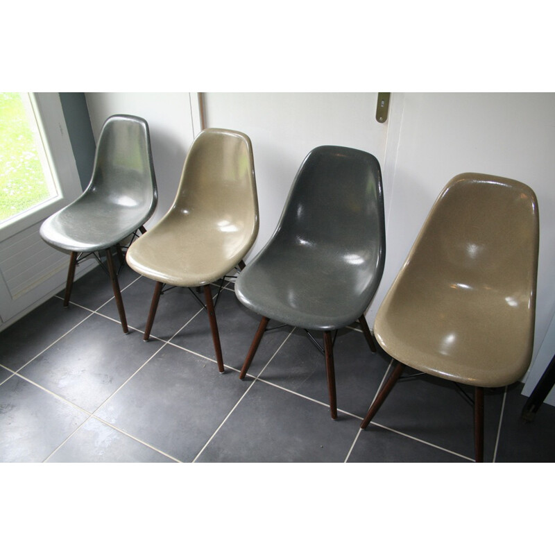 Herman Miller set of four "DSW" chairs, Charles & Ray EAMES - 1960s