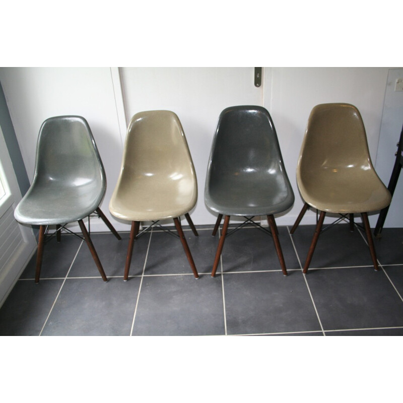 Suite de quatre chaises "DSW" Herman Miller, Charles & Ray EAMES - 1960