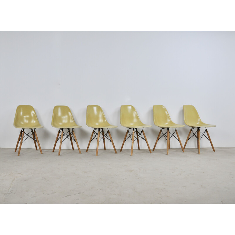 Serie de 6 chaises DSW by Charles et Ray Eames for Herman Miller, 1970s