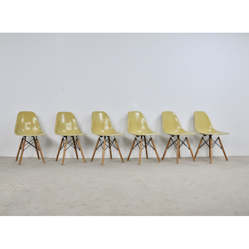 Series of 6 DSW chairs by Charles and Ray Eames for Herman Miller, 1970s