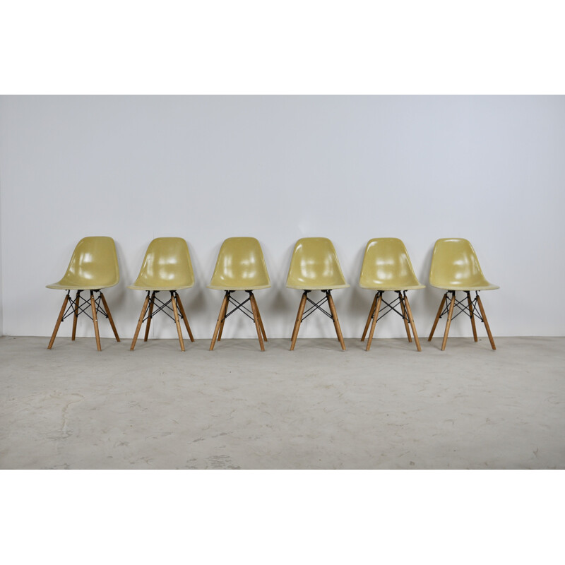 Serie de 6 chaises DSW by Charles et Ray Eames for Herman Miller, 1970s