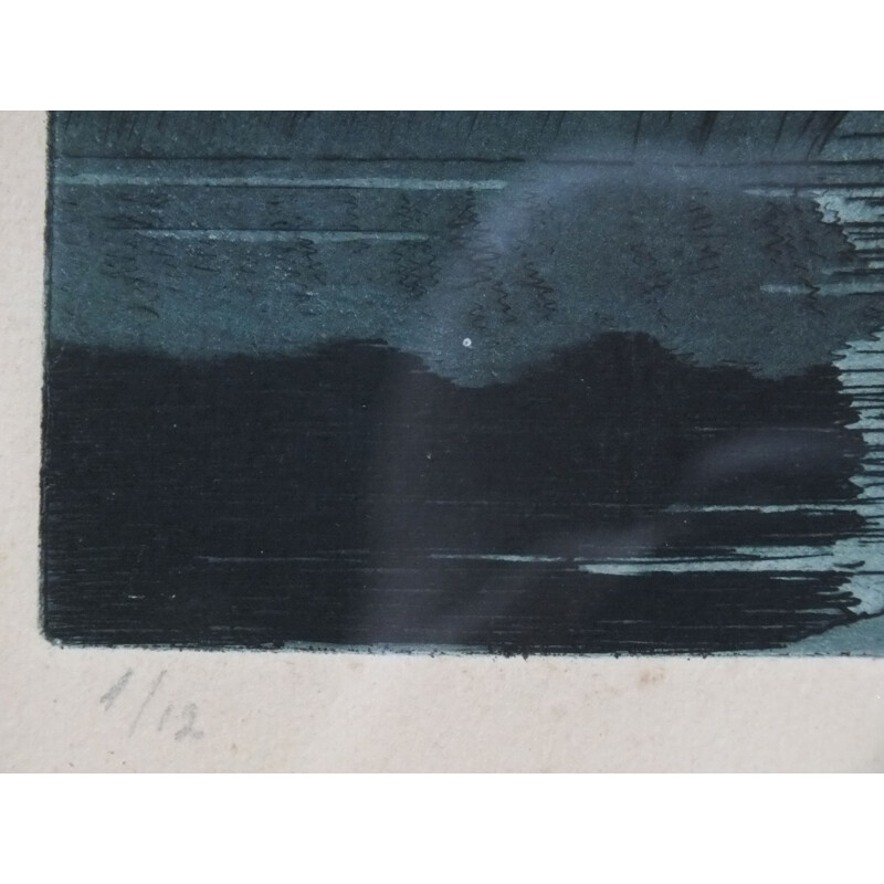 Aquatint gravure van vintage Zwanenmeer door Sir Claude Francis Barry, 1900