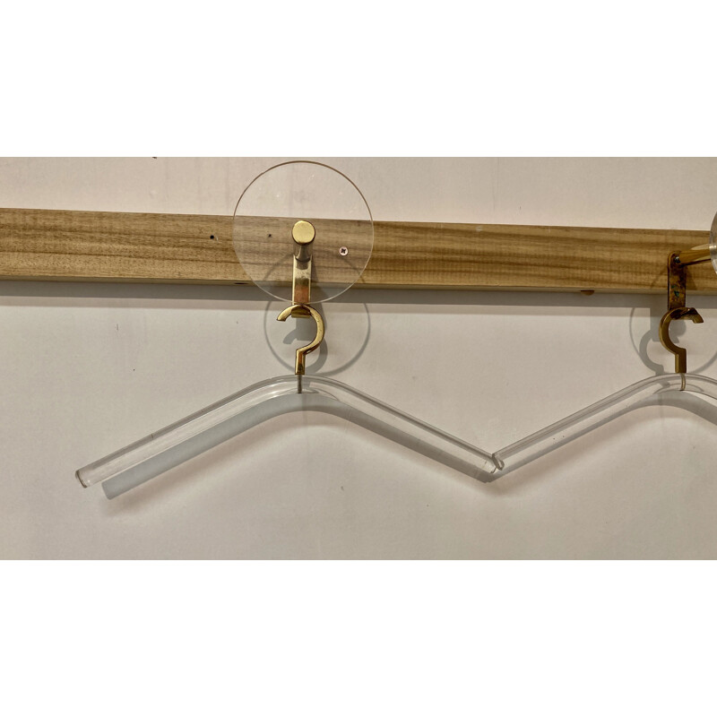 Vintage coat hook and hangers acrilic 1970 