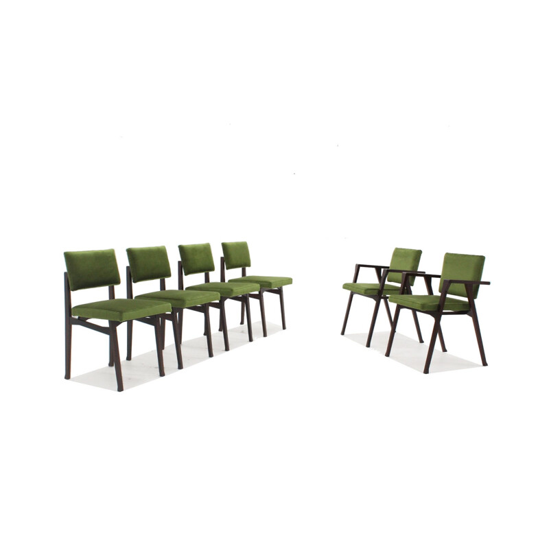 Set of 6 vintage dining chairs Franco Albini, Luisa and Luisella 1950