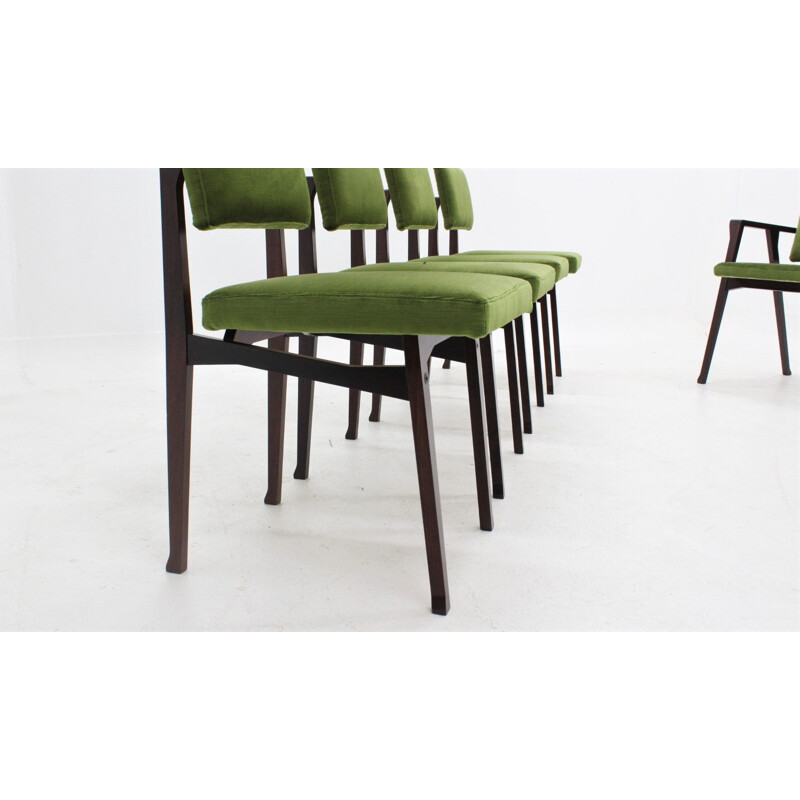 Set of 6 vintage dining chairs Franco Albini, Luisa and Luisella 1950