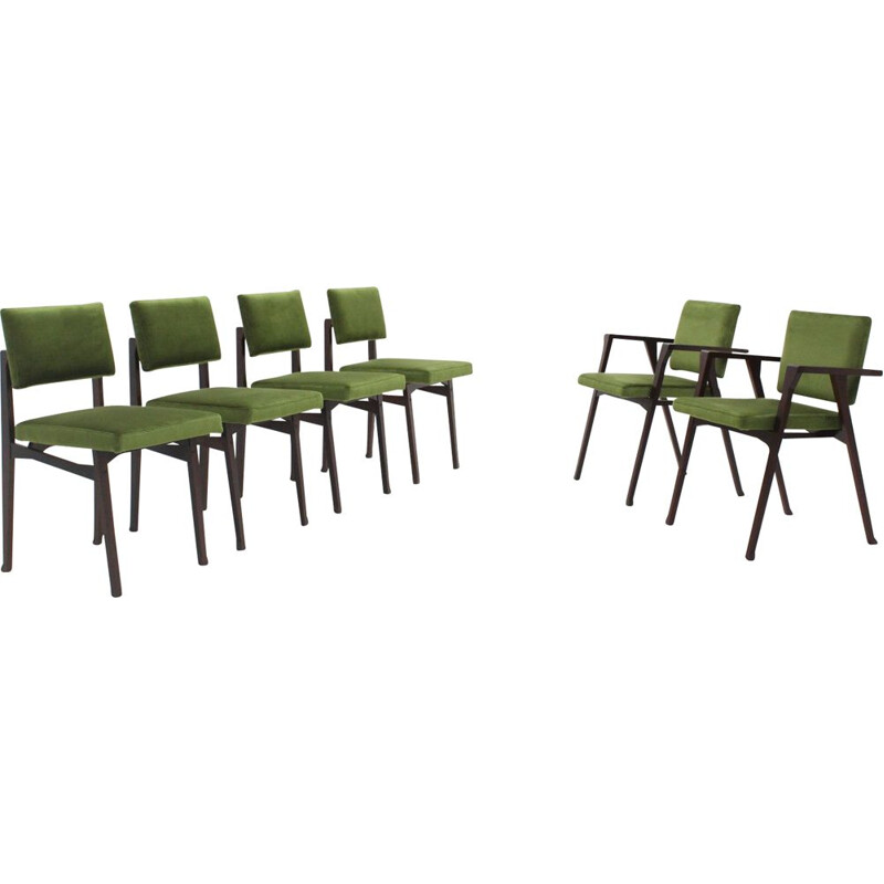 Set of 6 vintage dining chairs Franco Albini, Luisa and Luisella 1950