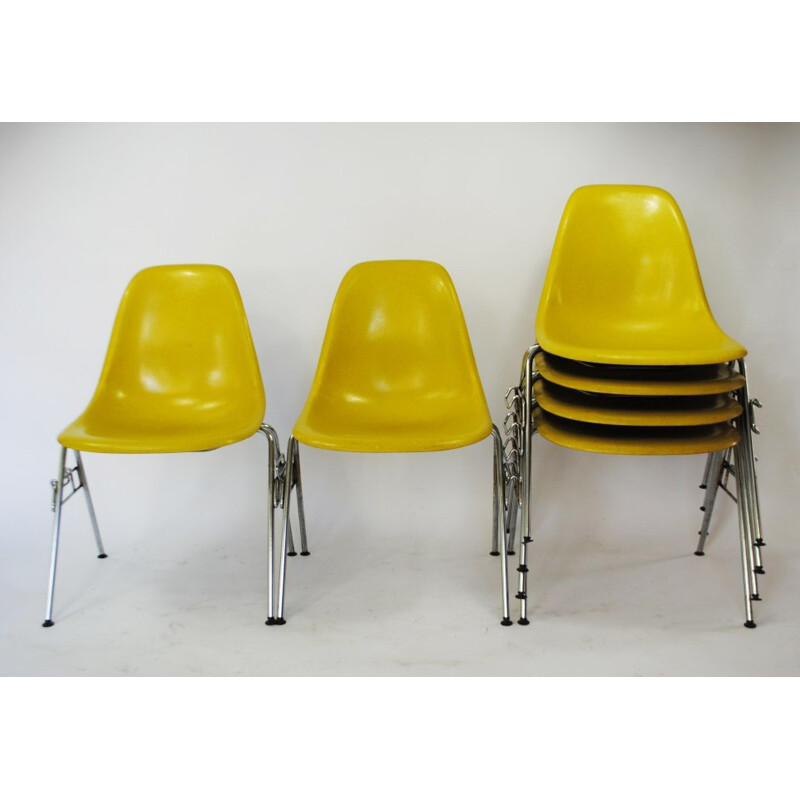 Suite de 6 chaises Herman Miller DSS en fibre de verre jaune, Charles et Ray EAMES - 1950