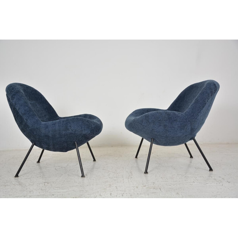 Pair of vintage armchairs by Fritz Neth for Correcta, 1950