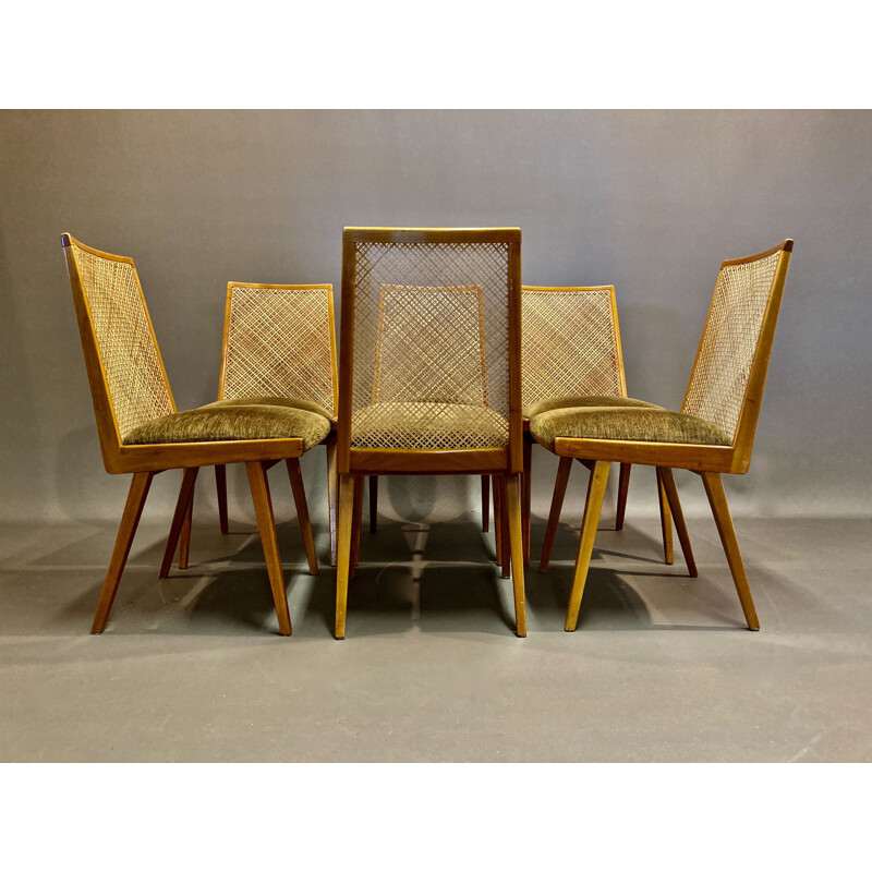 Ensemble de 6 chaises vintage rotin Hêtre  Velours 1950