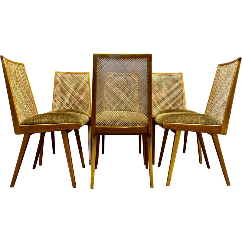 Set of 6 vintage rattan chairs Velvet Beech 1950