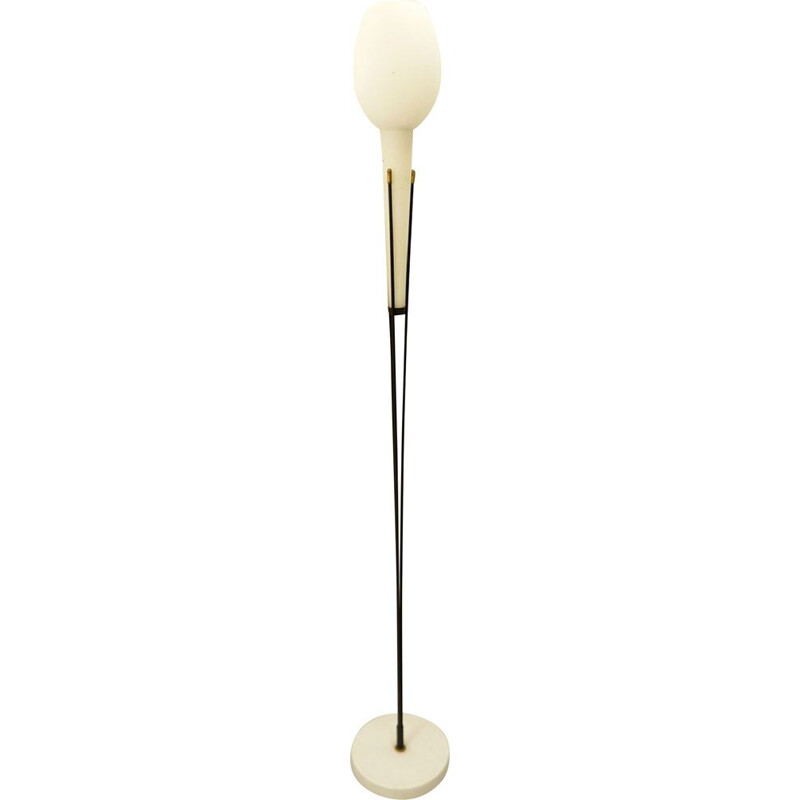 Vintage Opaline Floor Lamp from Stilnovo, 1950