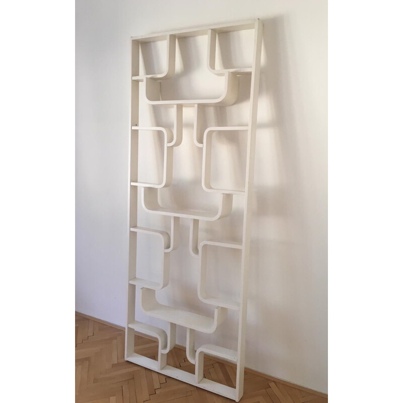 Vintage Room Divider Wall Unit by Ludvik Volak for Drevopodnik Holesov, 1960s