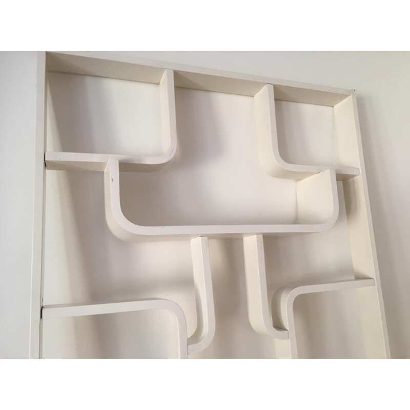 Vintage Room Divider Wall Unit by Ludvik Volak for Drevopodnik Holesov, 1960s