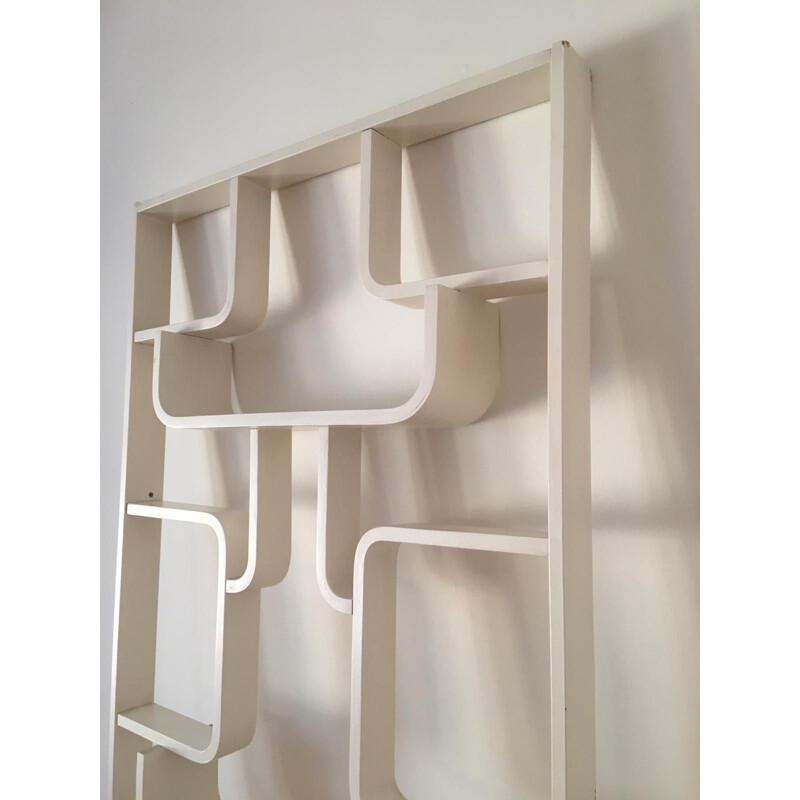 Vintage Room Divider Wall Unit by Ludvik Volak for Drevopodnik Holesov, 1960s