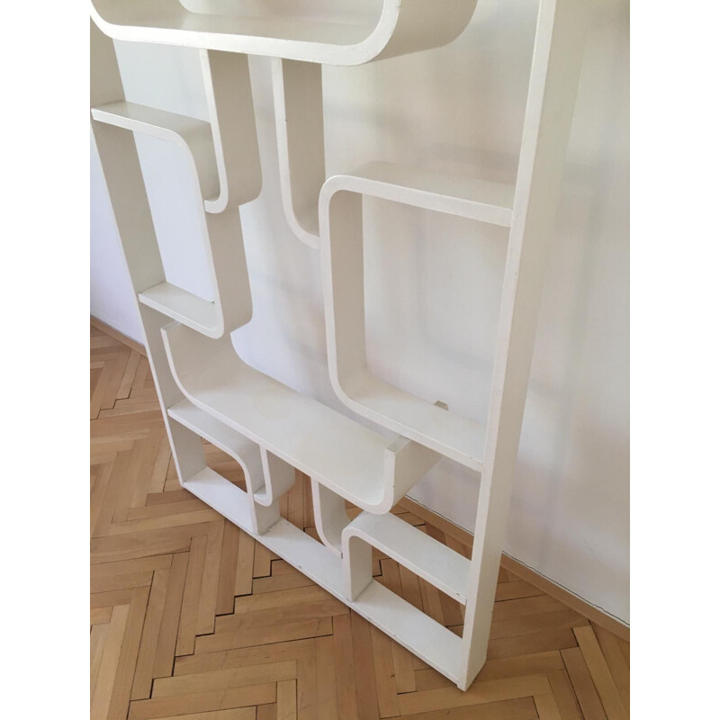 Vintage Room Divider Wall Unit by Ludvik Volak for Drevopodnik Holesov, 1960s