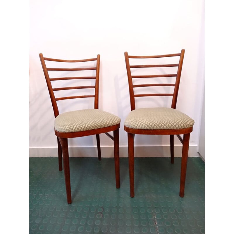 Pair of vintage chairs in wood and velvet, 1960