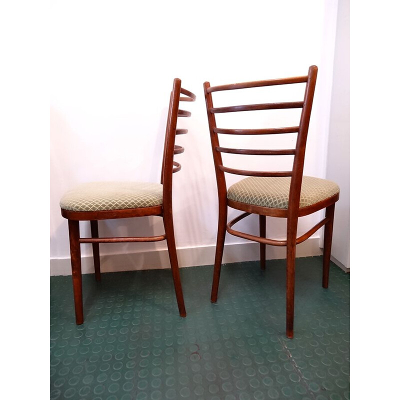 Pair of vintage chairs in wood and velvet, 1960