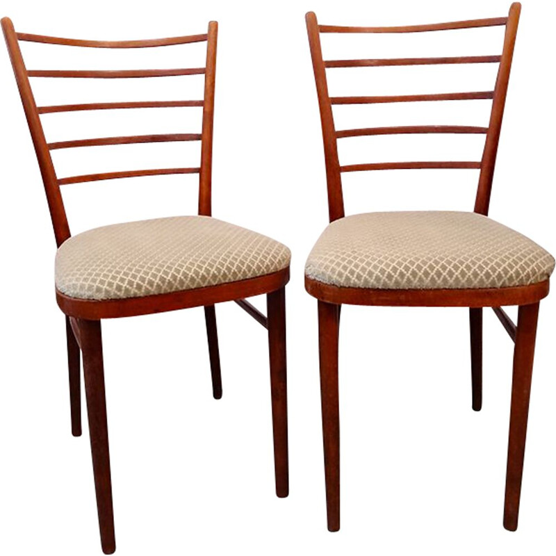 Pair of vintage chairs in wood and velvet, 1960