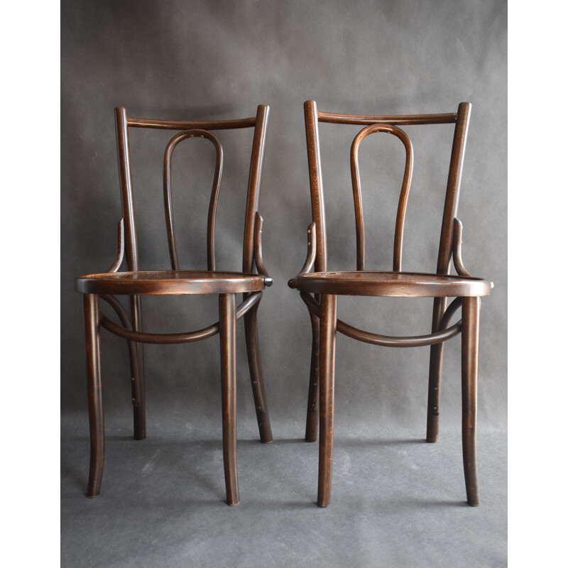 Pair of  vintage dining chairs from ZPM Radomsko, 1930s