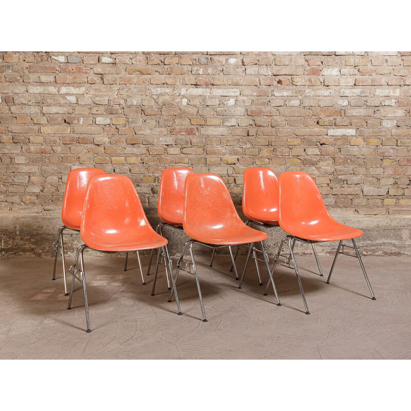 Lot de 6 chaises vintage DSS par Charles et Ray Eames pour Herman Miller